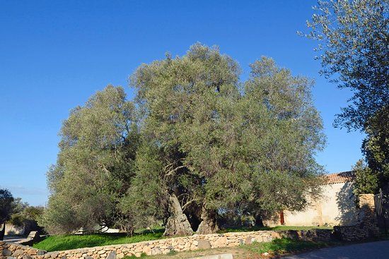 Chiesa Santa Petronilla